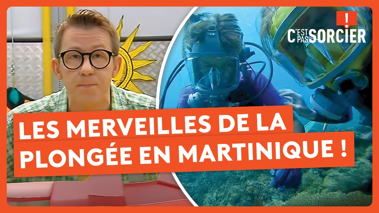 Les merveilles de la plongée en Martinique ! - C'est pas sorcier