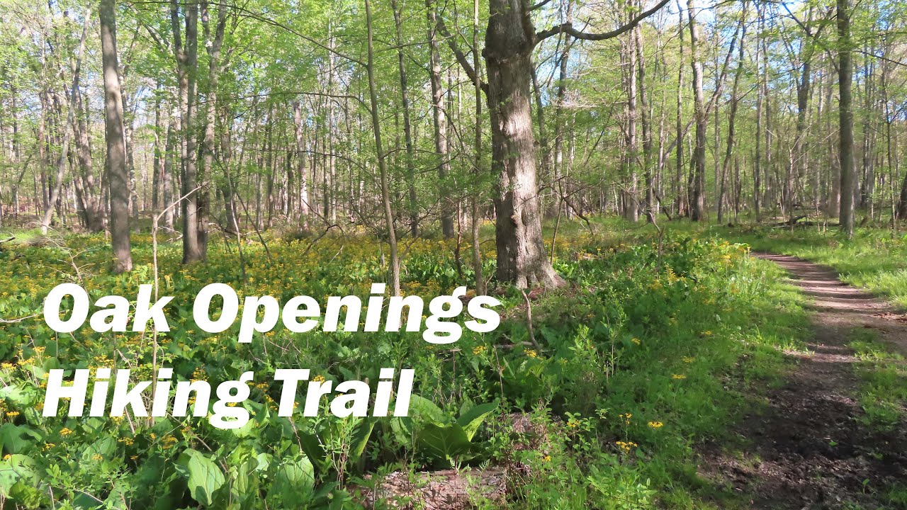 Oak Openings Hiking Trail