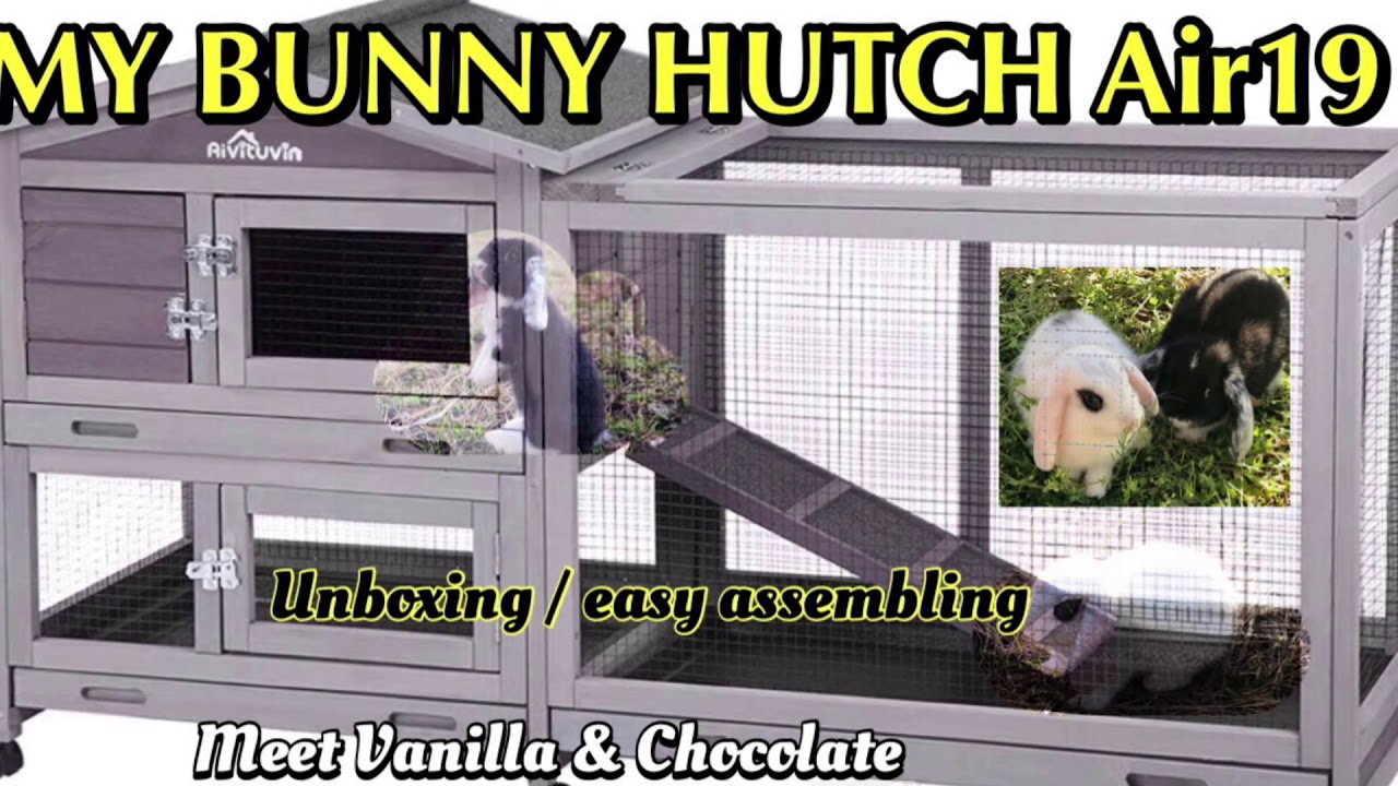 BUNNY HUTCH | PET HUTCH | #Assembly #Unboxing #Shorts