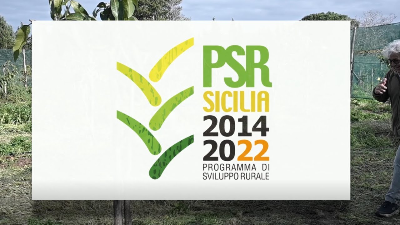 PSR Sicilia Syracibum short - Misura 16 - Cooperazione