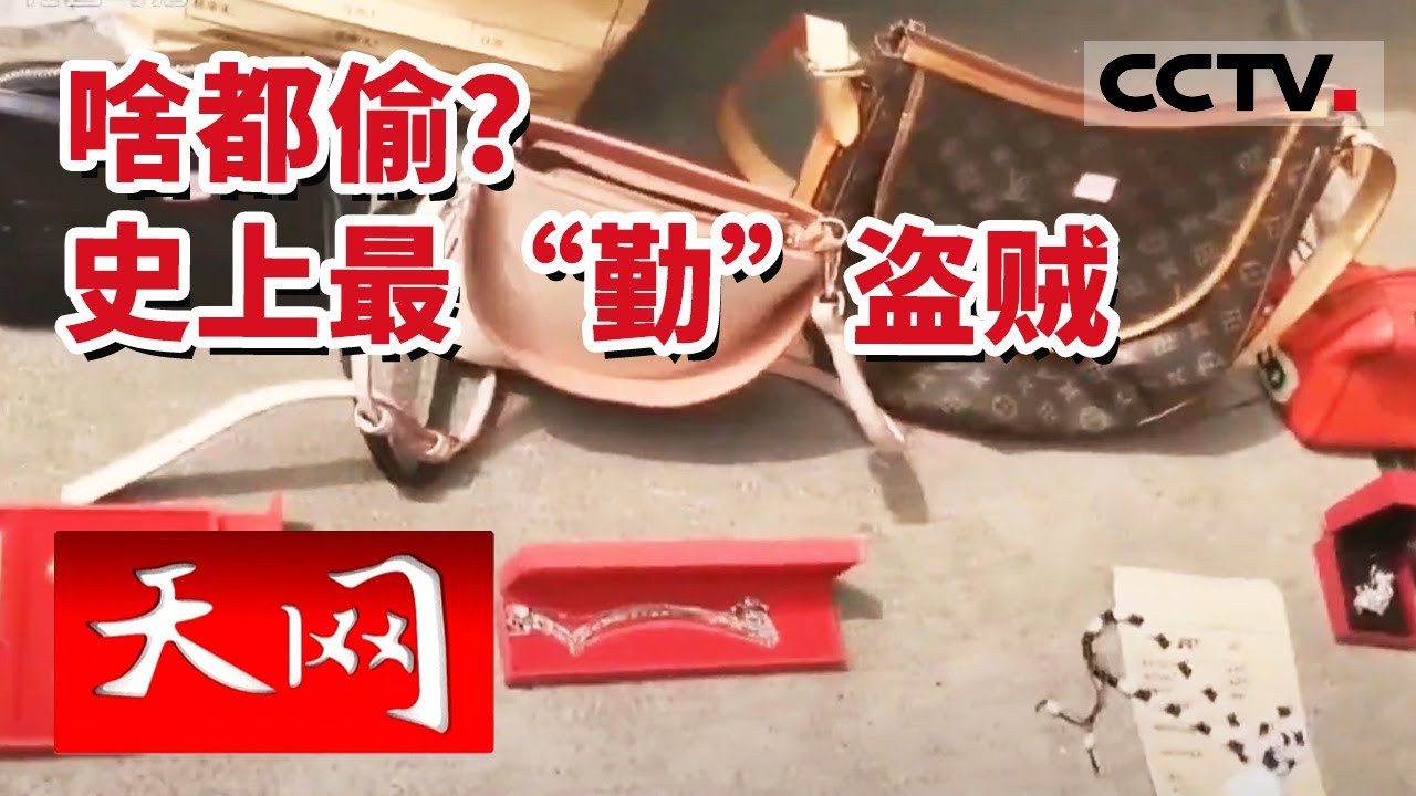 《天网》&ldquo;最勤快&rdquo;的犯罪团伙 搬家式入室盗窃 犯罪嫌疑人供述：几乎每天晚上都在作案  20230530 | CCTV社会与法