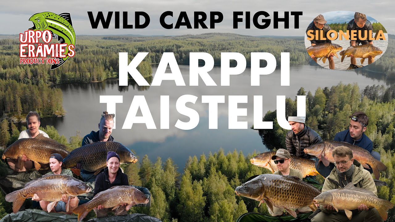 Carp Fight - Urpoerämies vs Siloneula - KARPIN onginta kilpailu