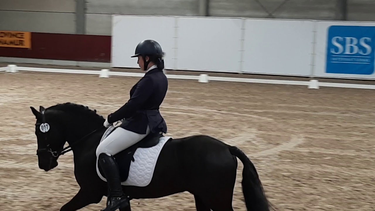Ecurie le Saint-Pierre - Legrand Elena - championnat LEWB 2019 - 1ère épreuve ini.5