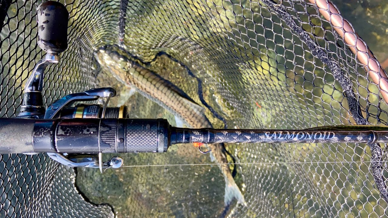 🎣 SeaTrout Open 2021 🐟 Lørdagen 🎥 Havørred Fiskeri