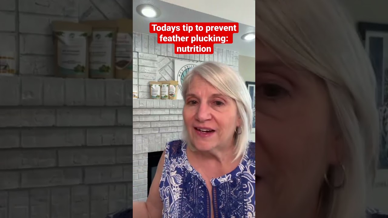 Stop Feather Plucking Now! Feed Your Picky Bird Better Meals Today