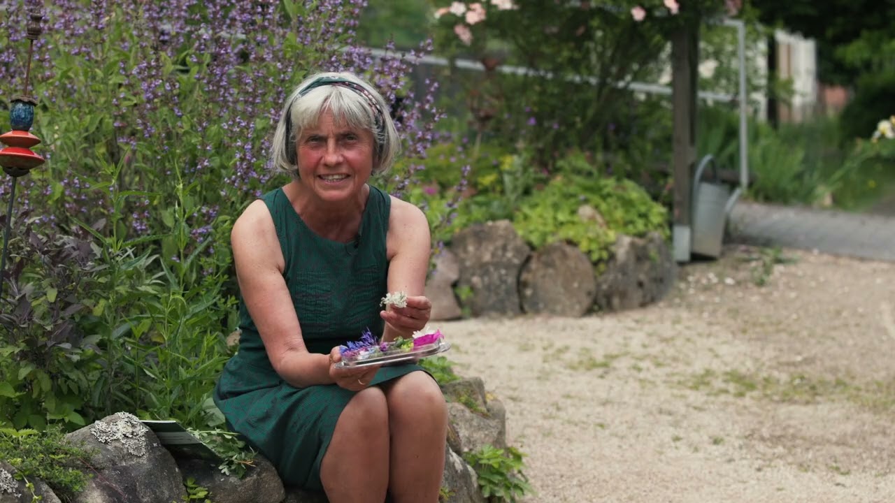 Essbare BL&Uuml;TEN: Diese Blumen schmecken in Salat und Desserts (Ruth Pfennighaus)