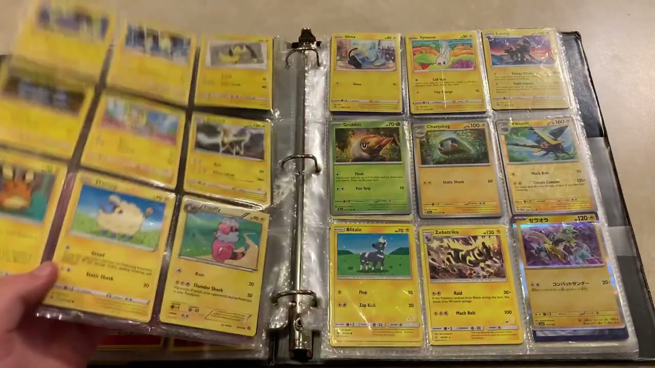 Showcasing one of my binders