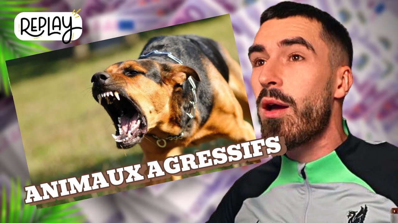 PFUT REACT AUX ATTAQUES DES ANIMAUX
