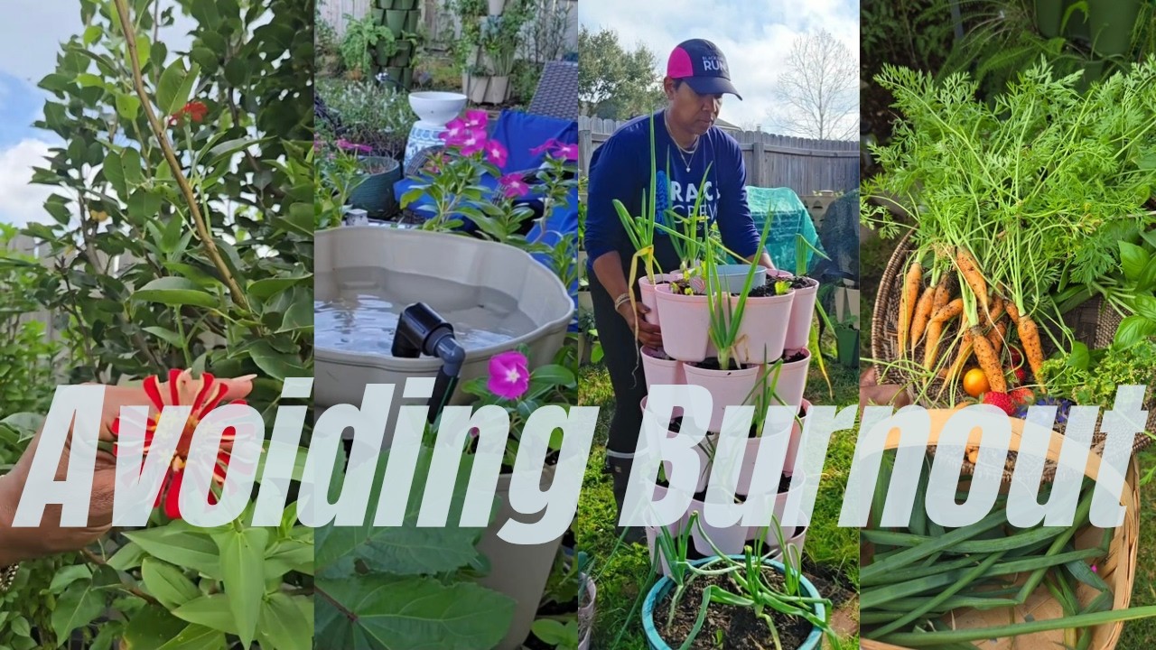 My 7-Day Garden System 🌱 How I Stay Consistent & Avoid Burnout