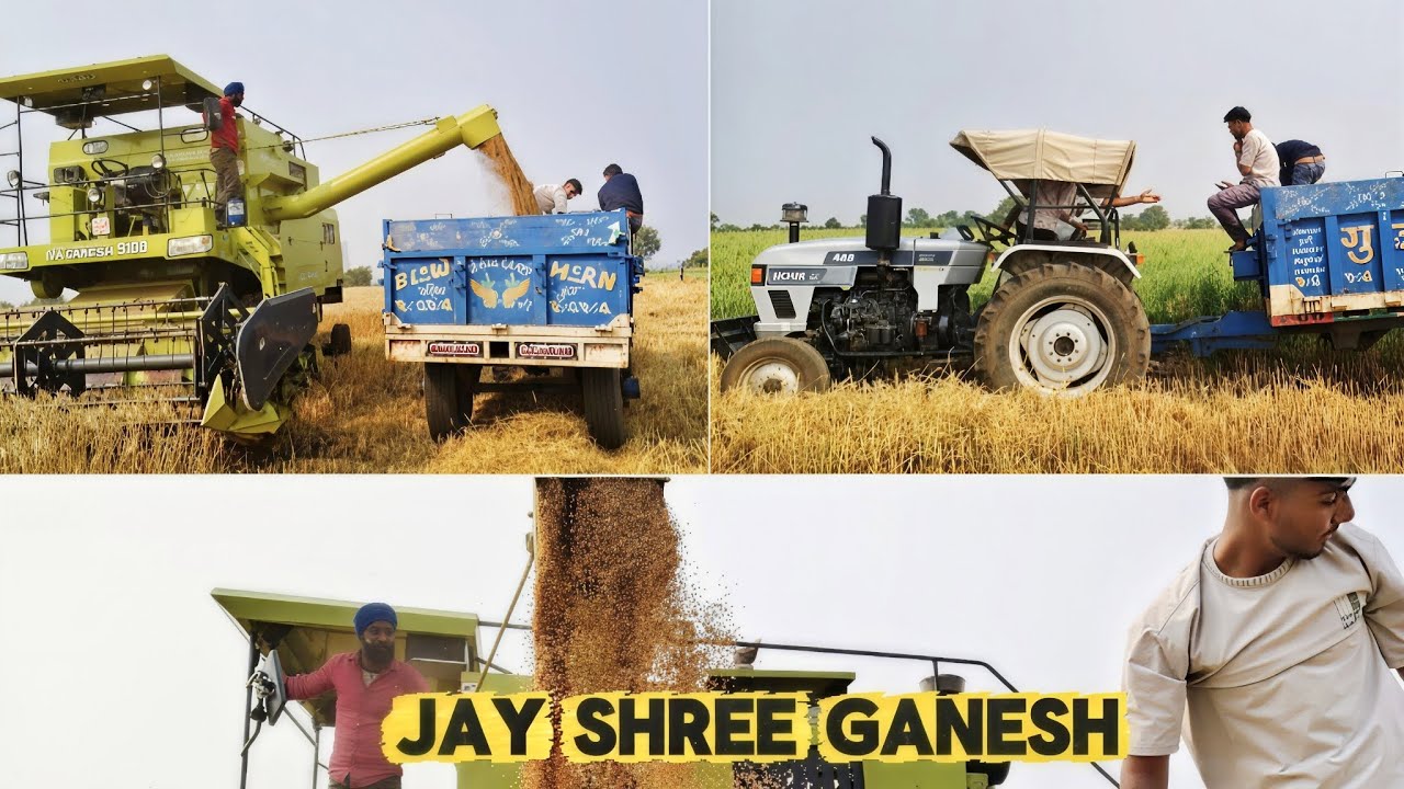 राम राम जी सभी भाई लोगों को तो आज कर दिया अपने जय श्री गणेश//daily new blog//Naveen Gurjar