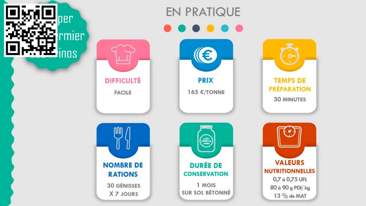 Un mash fermier pour les génisses laitières