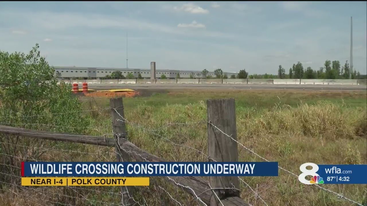 Florida building its first dedicated wildlife crossing over I-4 in Polk County