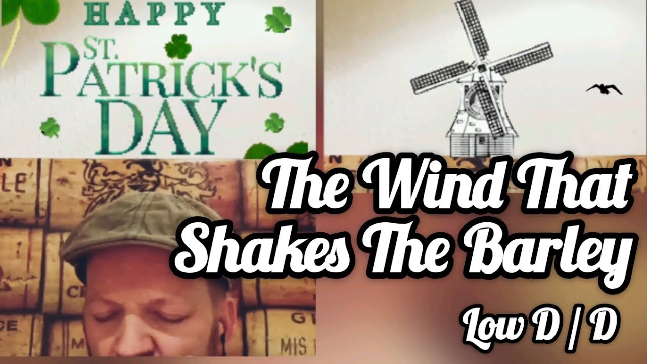 The Wind That Shakes The Barley - Harmonica (+Tabs) @CharlesHarrisonMusic
