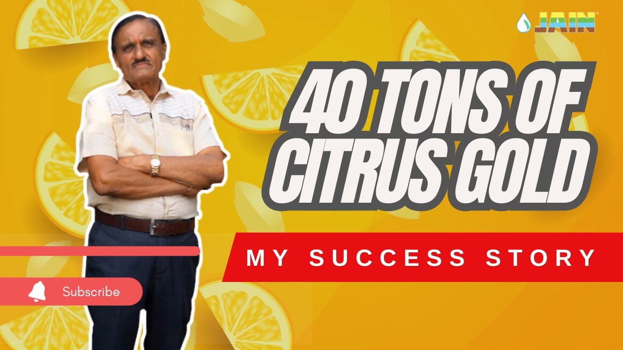 Farmer's Incredible Story of Record-Breaking Jain Sweet Orange Harvest