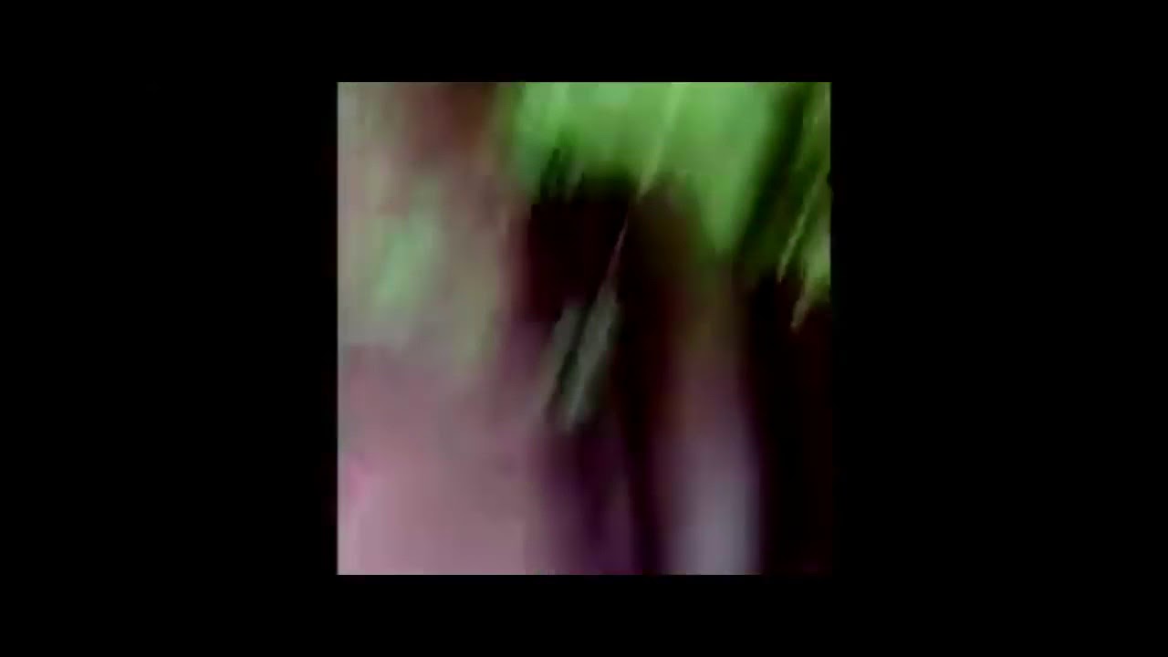 the birds and the bees (REUPLOAD)