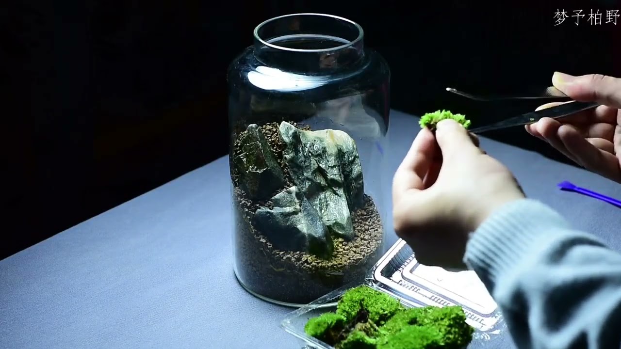 Put a green mountain in a bottle #Micro-landscape#Cure#White hair moss#Douyin Assistant
