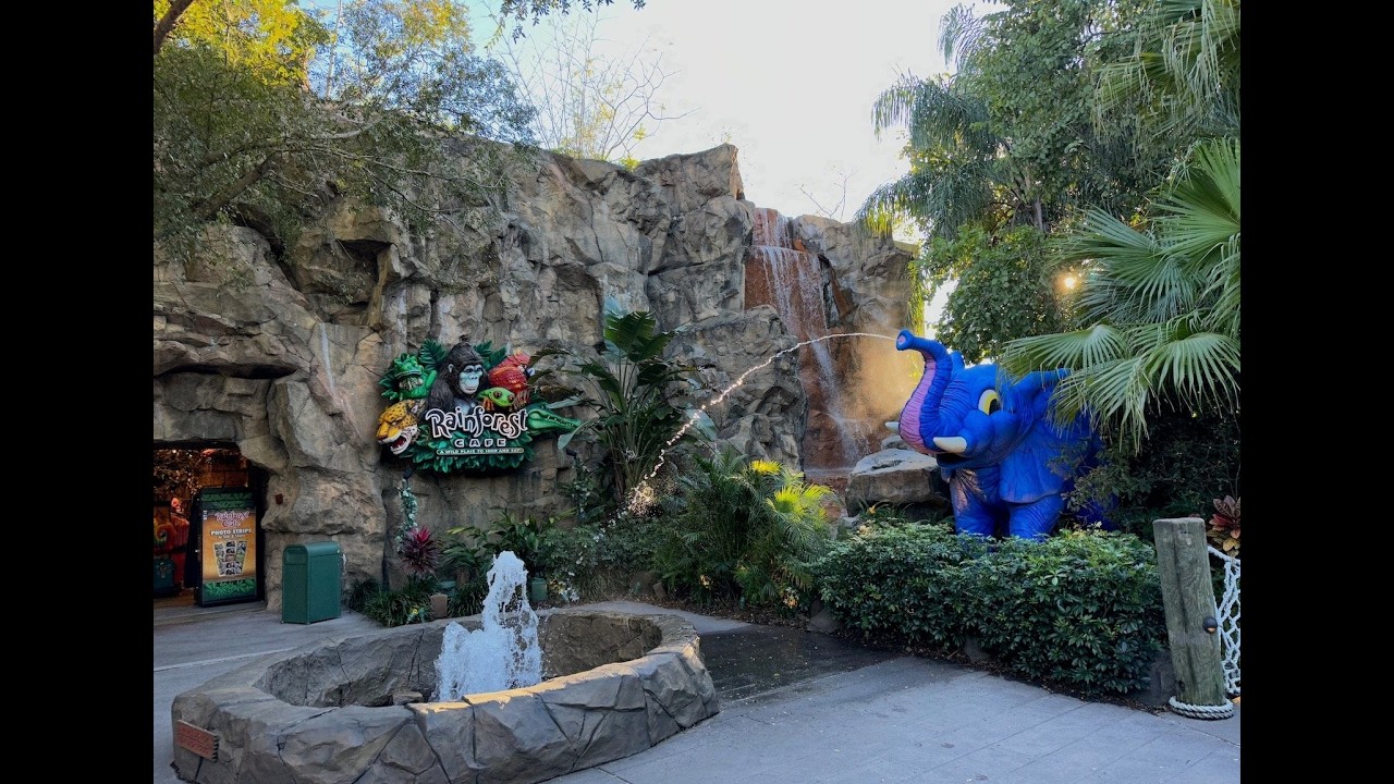 Disney's Animal Kingdom Rainforest Cafe Tour