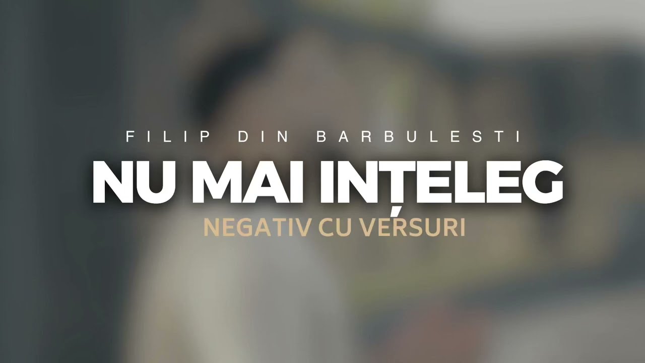 NEGATIV - NUMAI TU MĂ &Icirc;NȚELEGI - Filip din Barbulesti