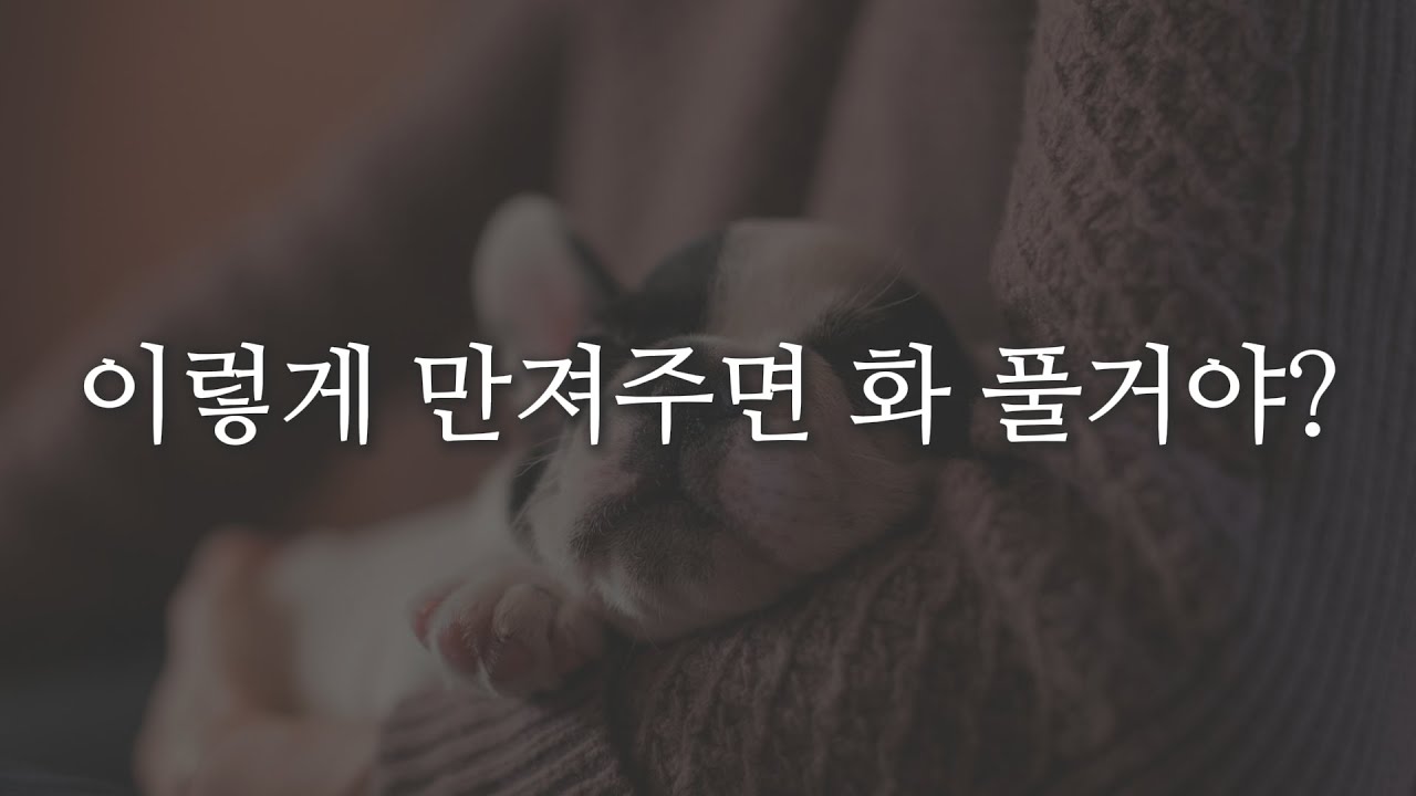 남자ASMR | 강아지만 챙겨줘서 서운해진 나를 달래주고 재워주는 남자친구 | roleplay