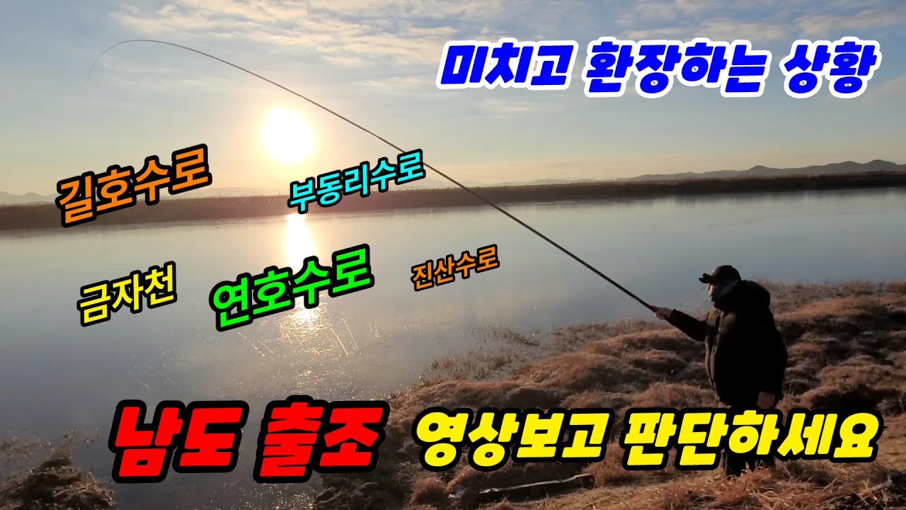#붕어낚시//해남// 미치고 환장하는 상황, 남도 출조 영상보고 판단하세요.// (Korea Carp fishing) (Korea big fishing)// #미라클스토리 #윤공방