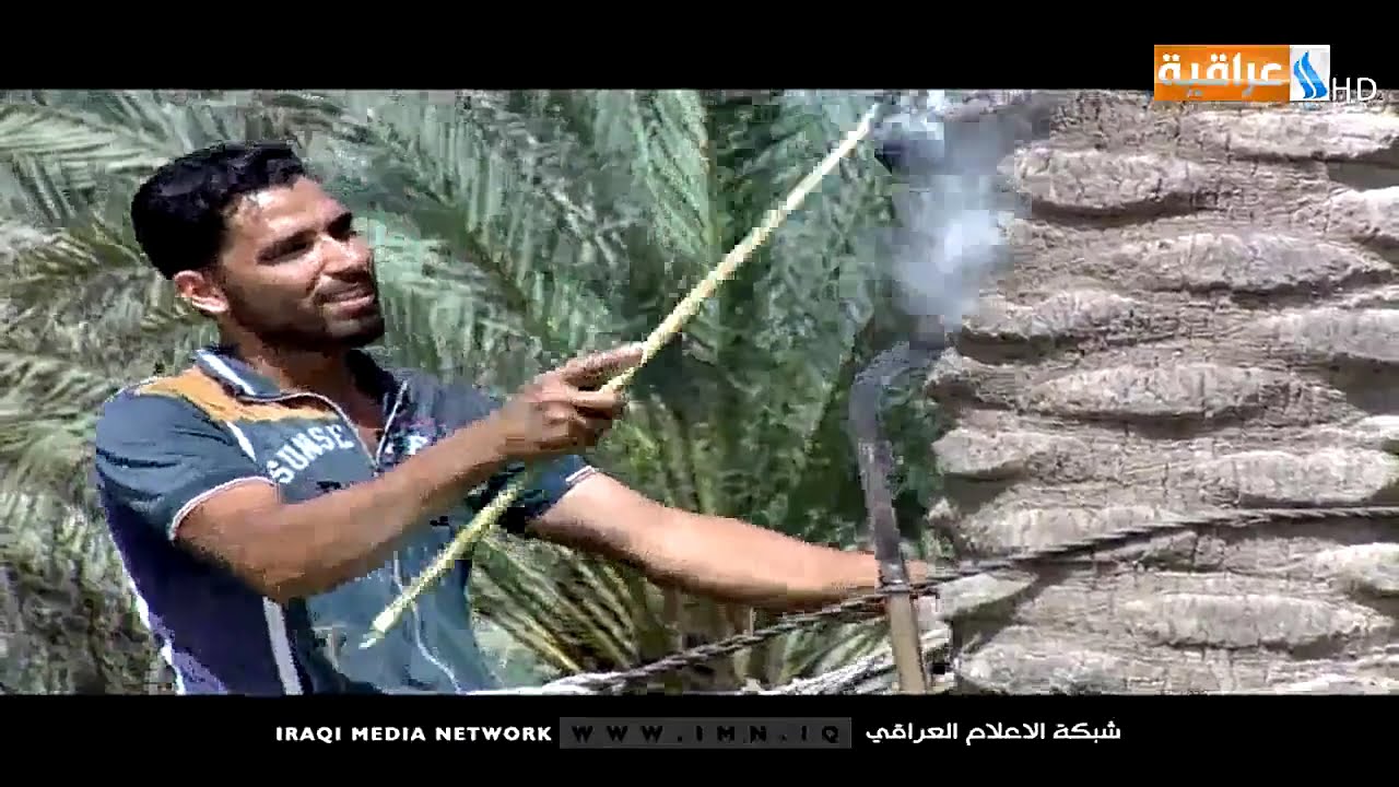 الفيلم الوثائقي | سيدة الثمر