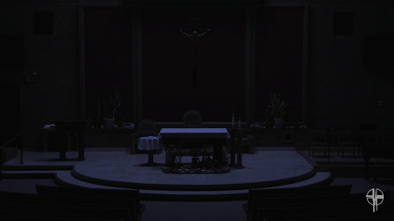 Corpus Christi Live