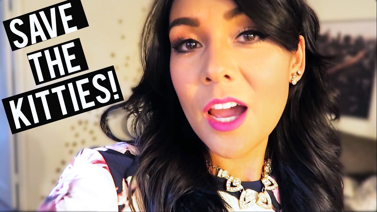 The time we saved a bunch of kittens! 😸🍺  #NIRL
