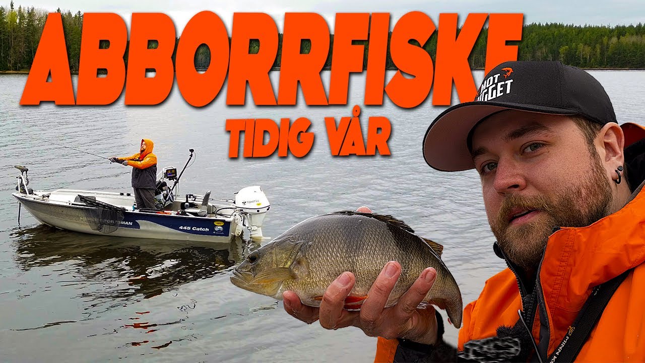 F&Ouml;RLEKSFISKE EFTER ABBORRE! Vibrationsbete dominerar! - Mothugget med Alex
