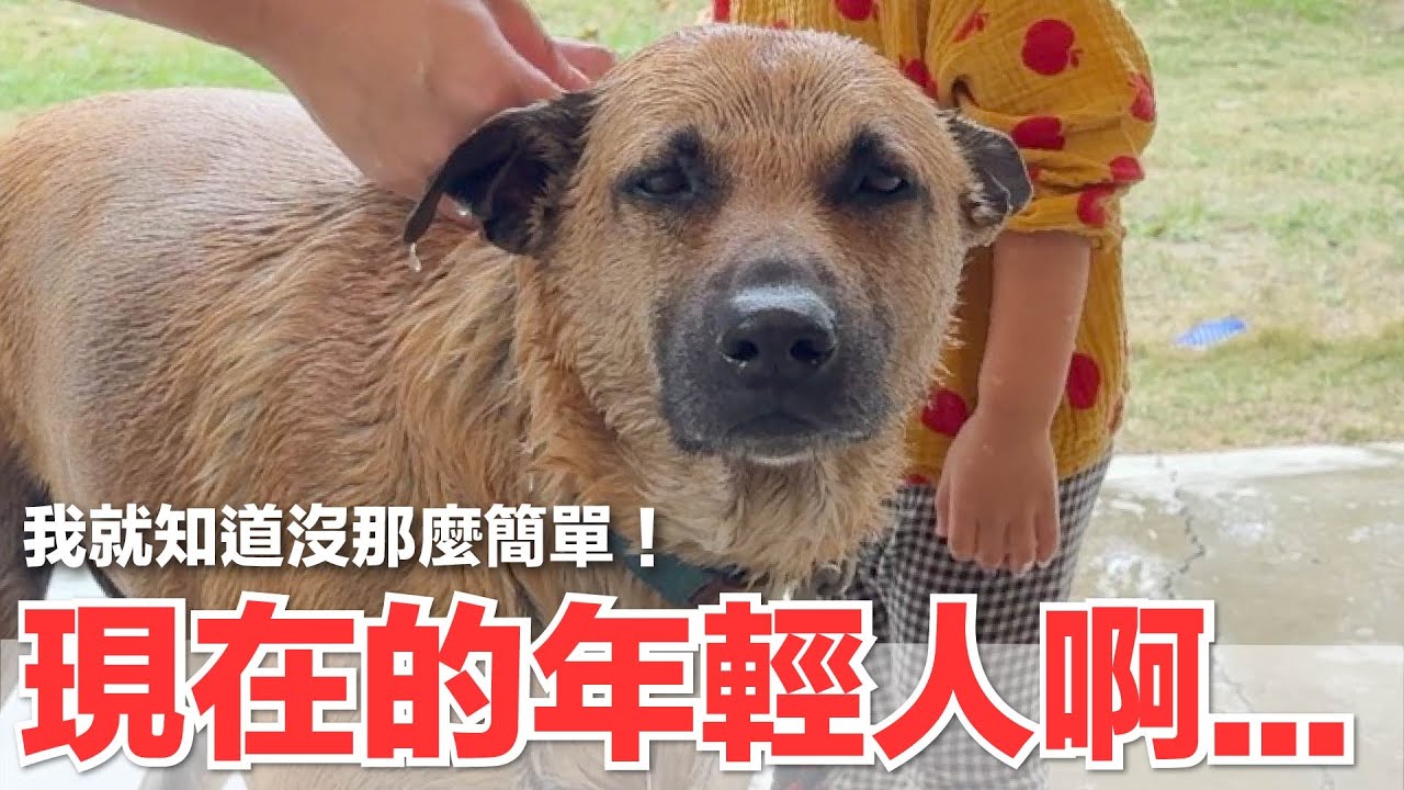 【好味小姐】現在的年輕人啊...我就知道沒那麼簡單！｜好味貓日常215