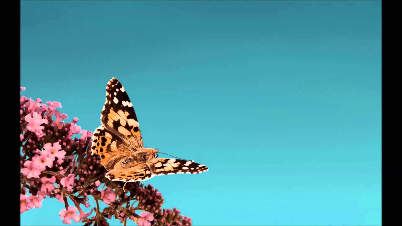 Alex H & Nico Schinco The Draft (Original Mix) Progressive House Worldwide