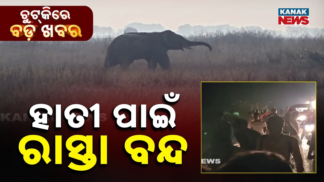 Chutkire Bada Khabar || 20th February 2026 || 10AM Digital Bulletin || Kanak News