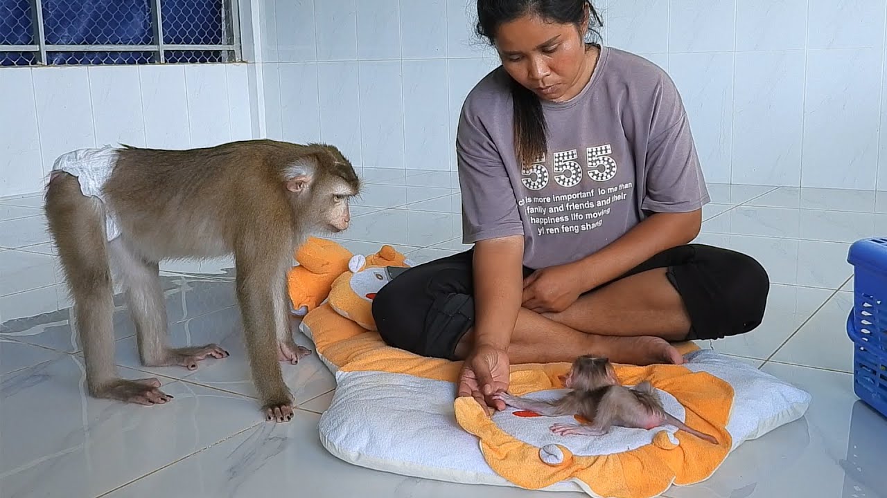 Mommy Luna Looking Newborn Baby Learn To Walk