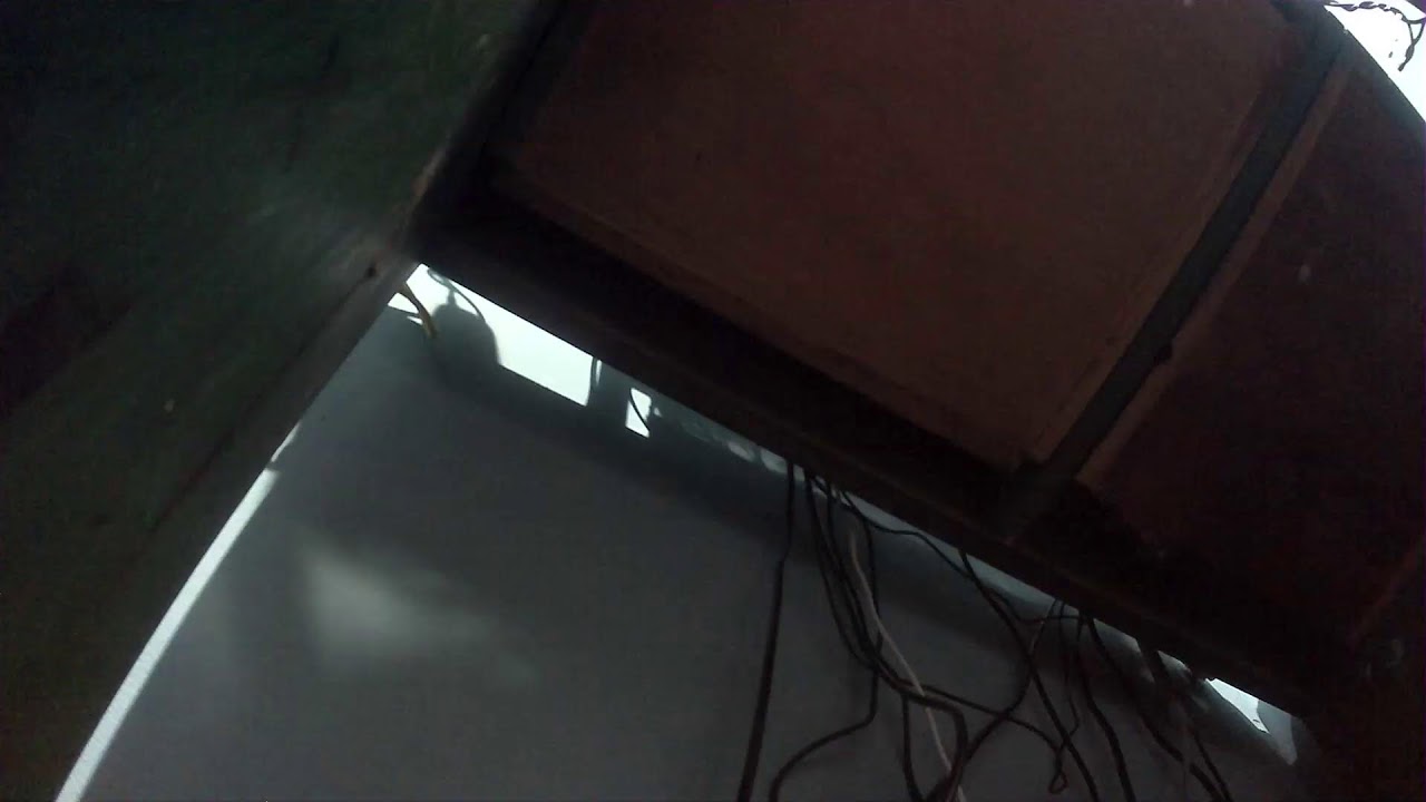 directo bau