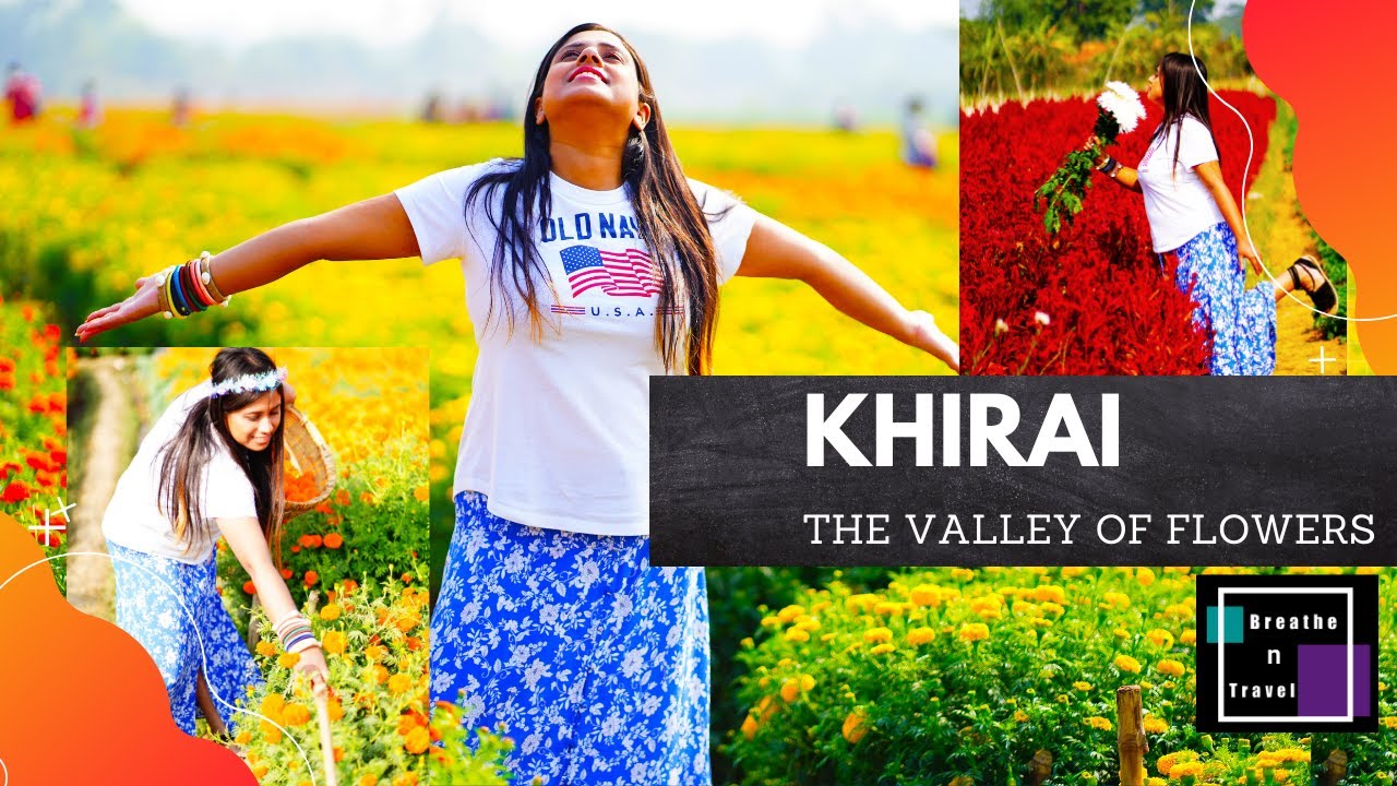 KHIRAI | The Valley of Flowers | Khirai Flower Garden | One Day Tour From Kolkata | Kolkata Offbeat