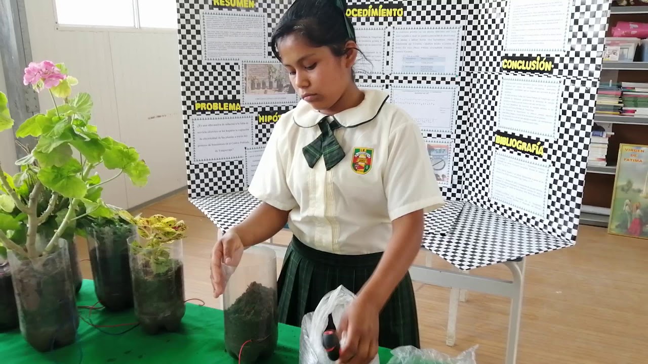 GENERAMOS ENERGÍA ELÉCTRICA UTILIZANDO FOTOSÍNTESIS DE LAS PLANTAS
