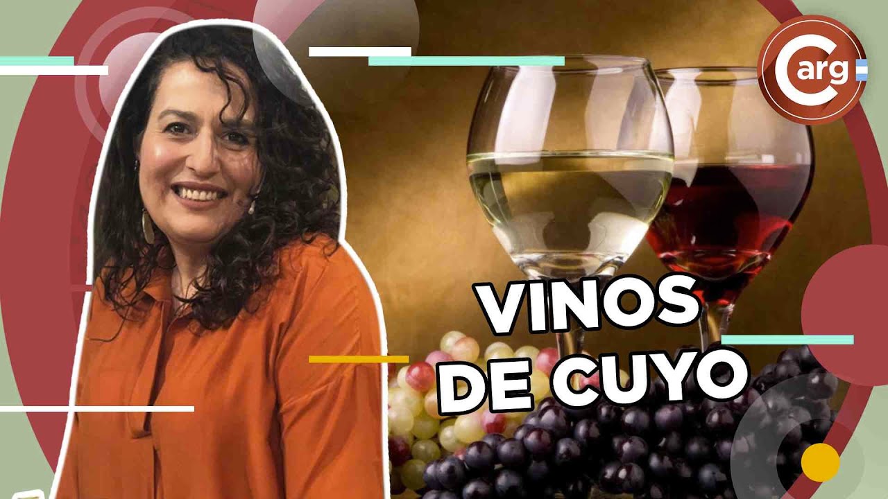 TODO SOBRE VINOS DE CUYO