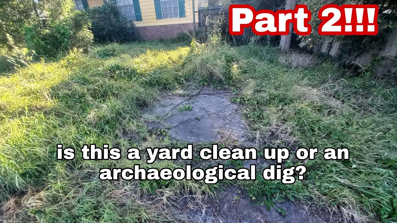PART 2 - I knocked on a stranger's door and offered a yard clean up!