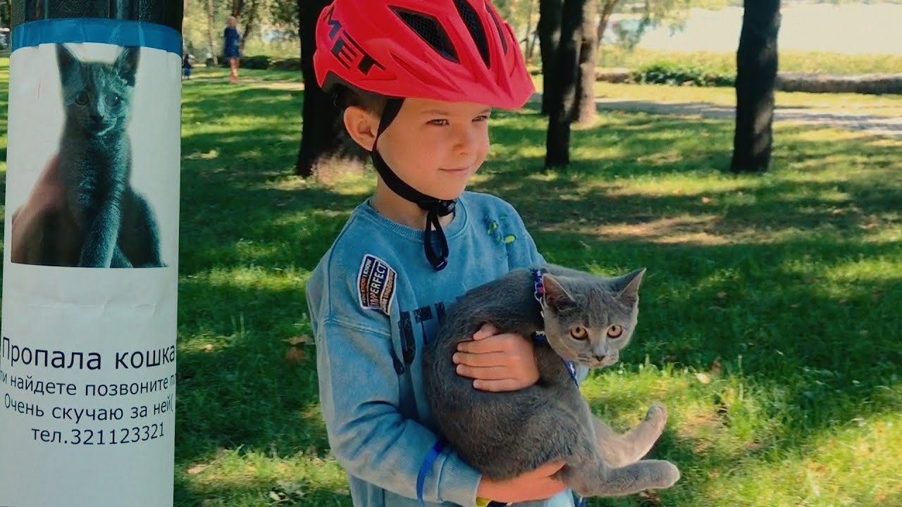 Нашел маленького Котенка в парке