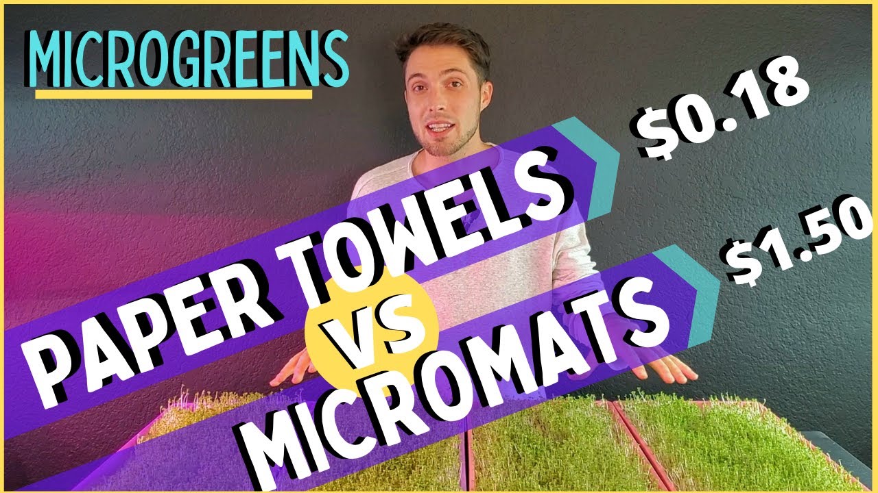 MicroMats vs Paper Towels | Which Grow Medium is Better for Microgreens?