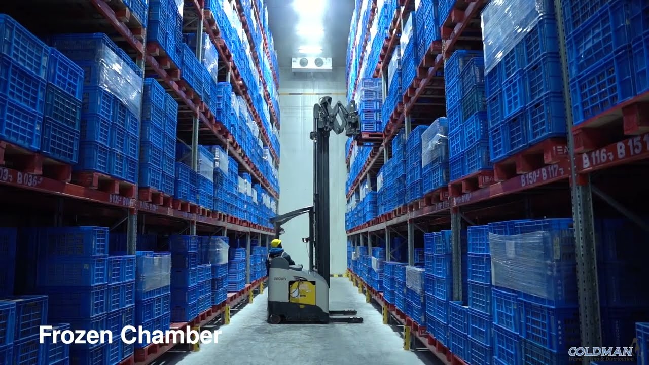 Coldman Logistics | Kolkata Temperature Controlled Warehouse
