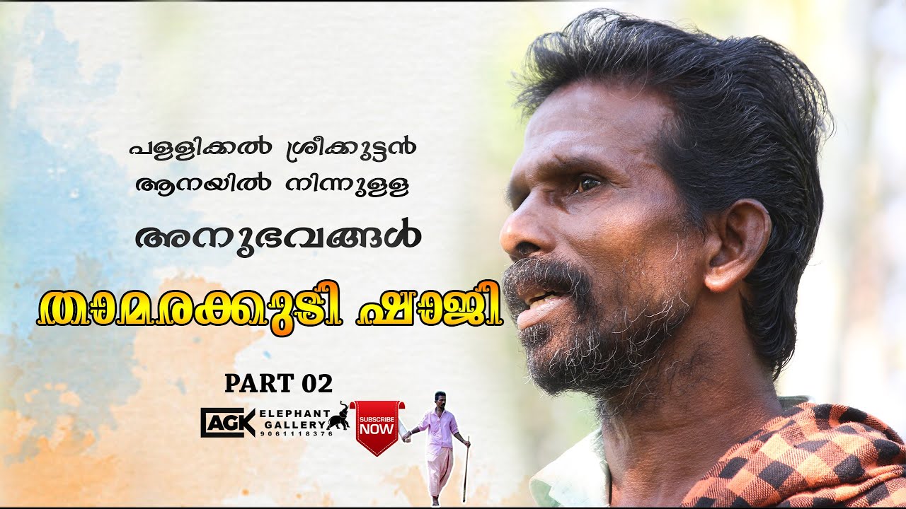 പള്ളിക്കൽ ശ്രീക്കുട്ടൻ ആനയിൽ നിന്നുള്ള  അനുഭവങ്ങൾ I താമരക്കുടി  ഷാജി ആശാൻ I PART 02