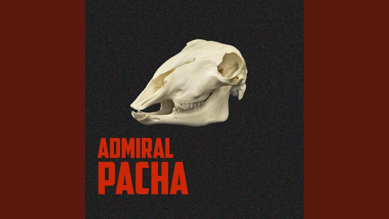 Pacha