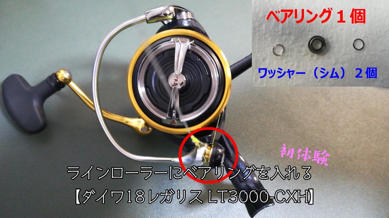 【18レガリス】ラインローラーのベアリング交換