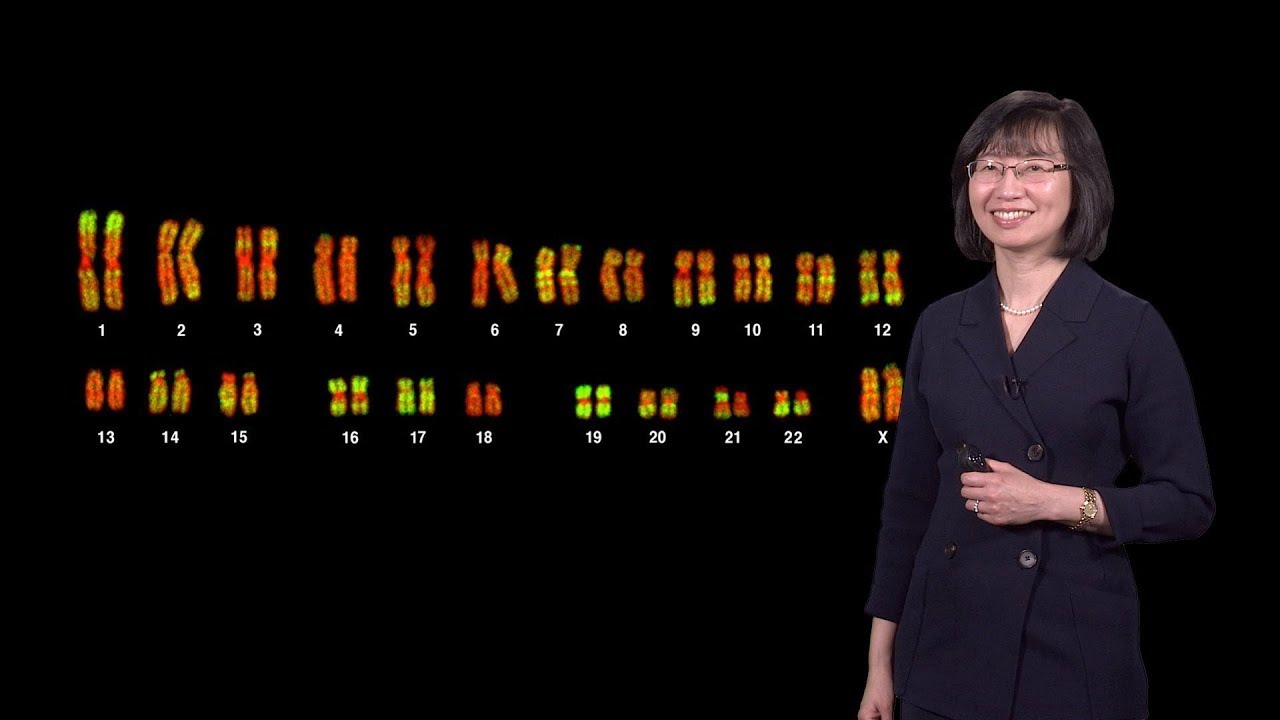 Jeannie Lee (Harvard) 1 - X Chromosome Inactivation: Making and Breaking the Silence