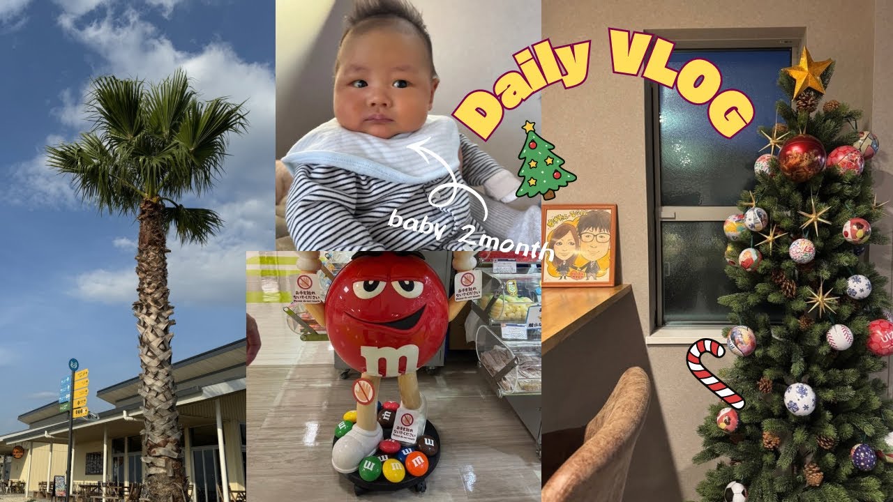 【主婦vlog👩🏻🧹】ｸﾘｽﾏｽﾂﾘｰ飾り付け🎅🏻🎄休日のお出掛け🚍🌈家族でﾊﾞﾙｺﾆｰでBBQ🥩🍖