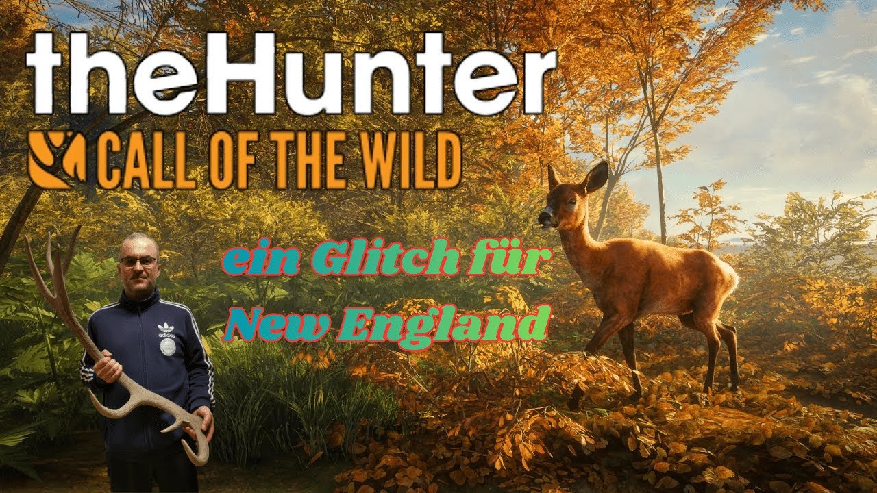 The Hunter - Call of the Wild / ein Glitch für New England