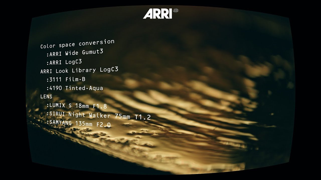 正月休みで舞妓のいない京都祇園東　ARRI Look