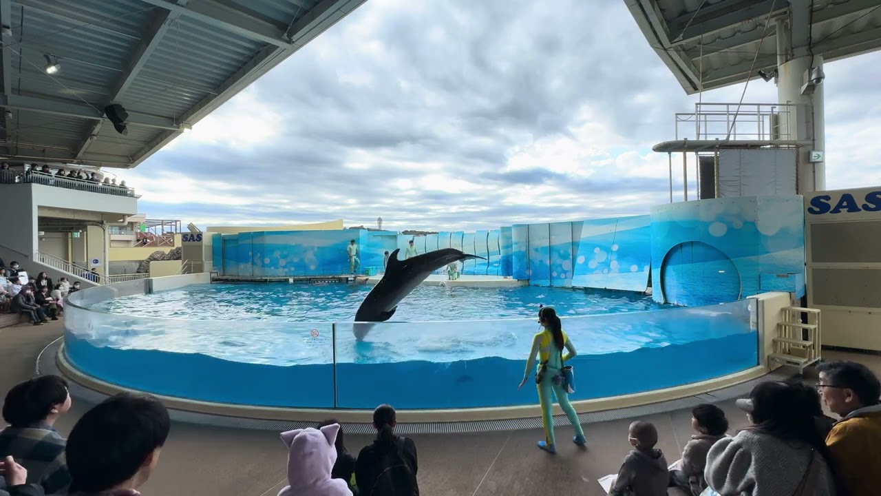 2024.11.23 Wave～きみの波になりたい～ 10:30 / 新江ノ島水族館
