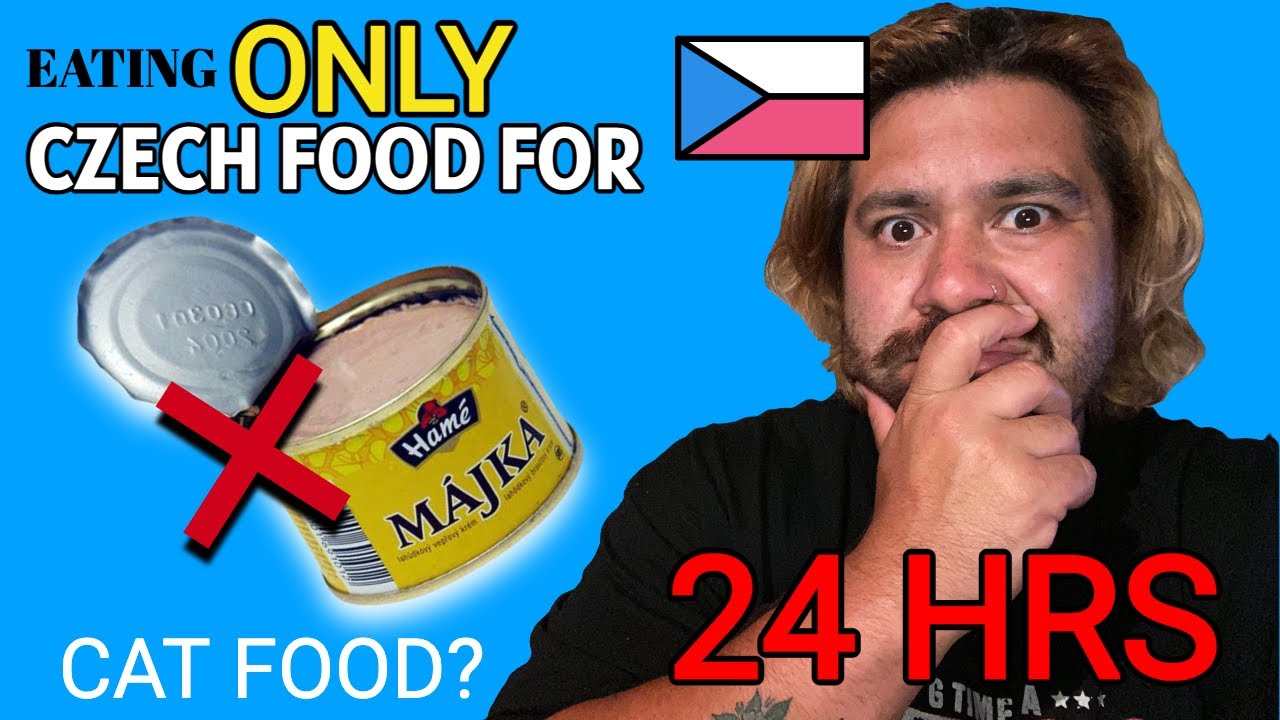 24 ЧАСА есть только ЧЕШСКАЯ ЕДА. это похоже на корм для кошек