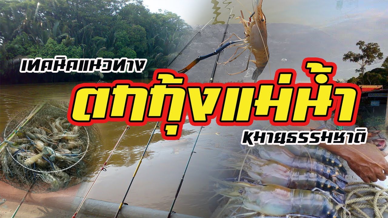 วิธีการตกกุ้งแม่น้ำ | หมายธรรมชาติ เบื้องต้น |